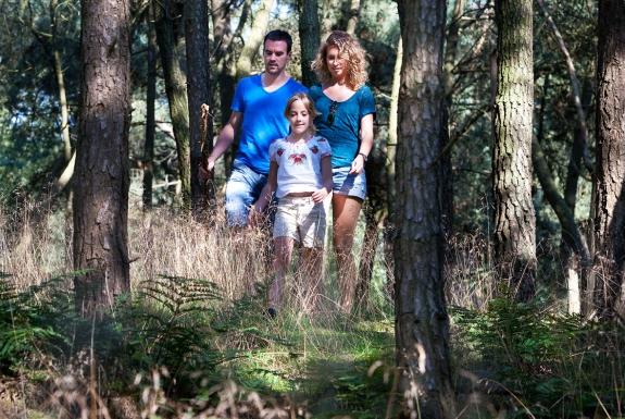 Omgeving | Parkhotel Bad Arcen